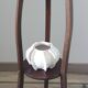 Plant holder
