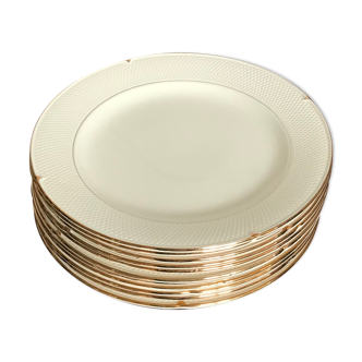 Iron Land Salins Plates