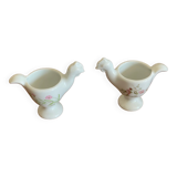 Duo of chicken cockroachers