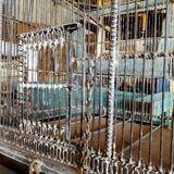 Cage