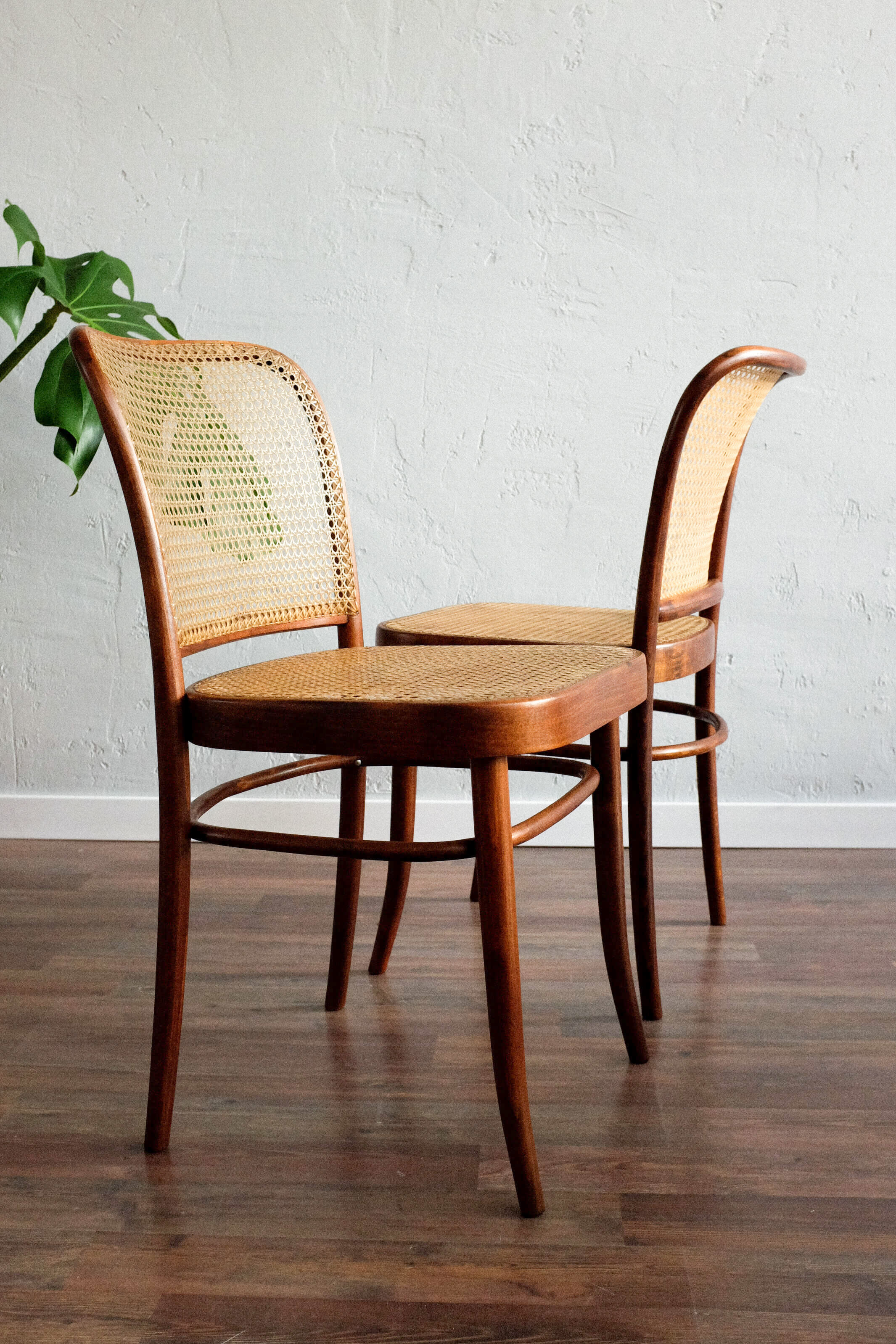 Ensemble de 2 chaises par Josef Hoffmann pour TON, modèle 811, années 1970