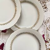 6 antique porcelain dessert plates Seltmann Weiden