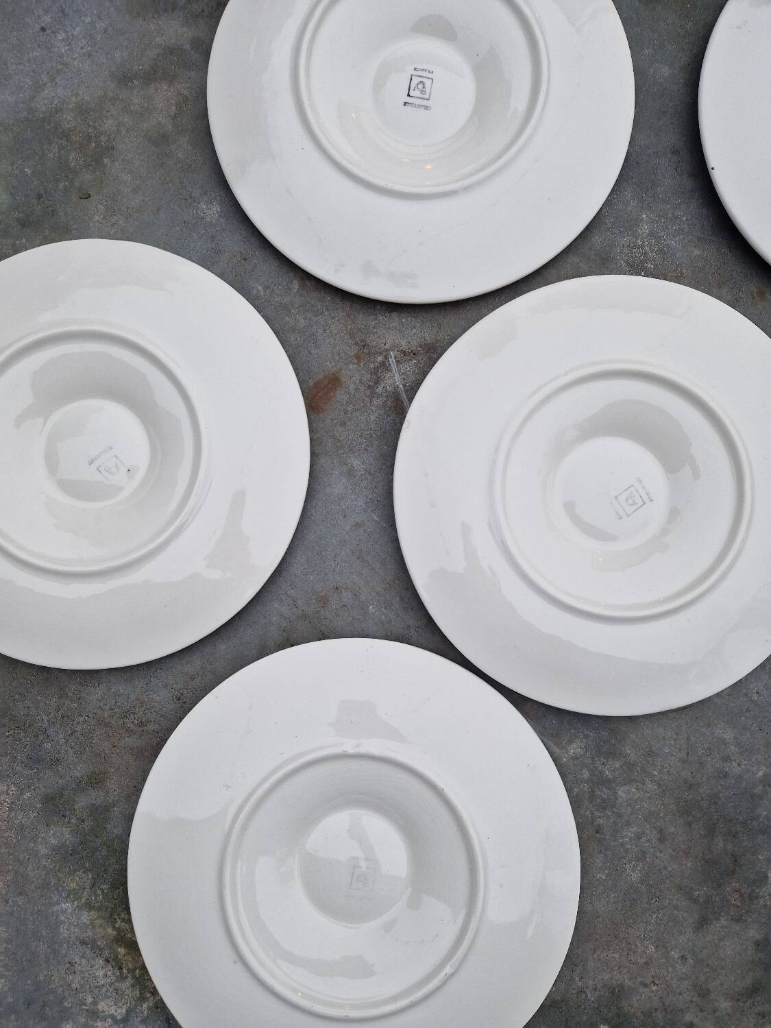 Set of 6 oyster plates with shells in white earthenware
