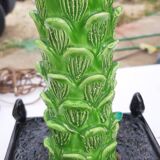 Ceramic lamp by Jean Roger France circa 1960