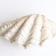 Benign shell for cabinet of curiosities, 70s