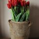 Authentic terracotta pot with handles