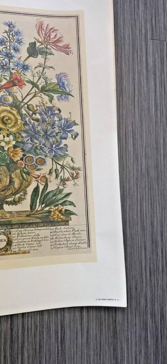 Lot of 19th century Floral Engravings - Vintage Art Print Flowers - 12 months - Robert Furber
