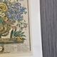 Lot of 19th century Floral Engravings - Vintage Art Print Flowers - 12 months - Robert Furber
