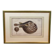 Gravure ancienne poisson globe – Ludwig Schmidt (XIXᵉ siècle)