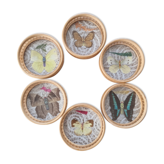 Ensemble de sous verres papillons
