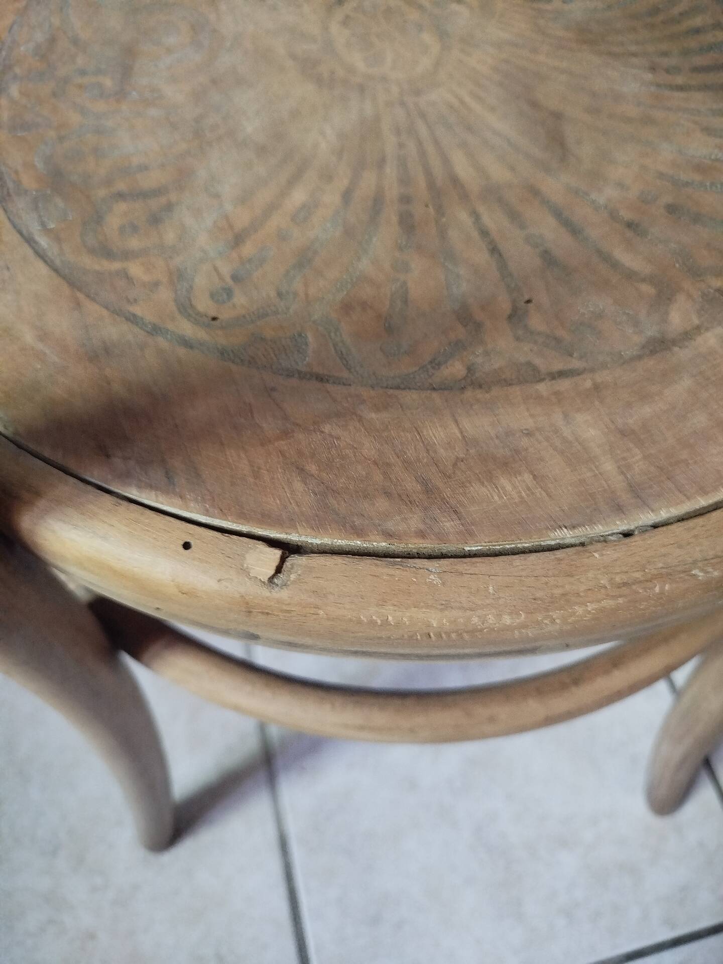 Antique Fischel armchair in bent wood