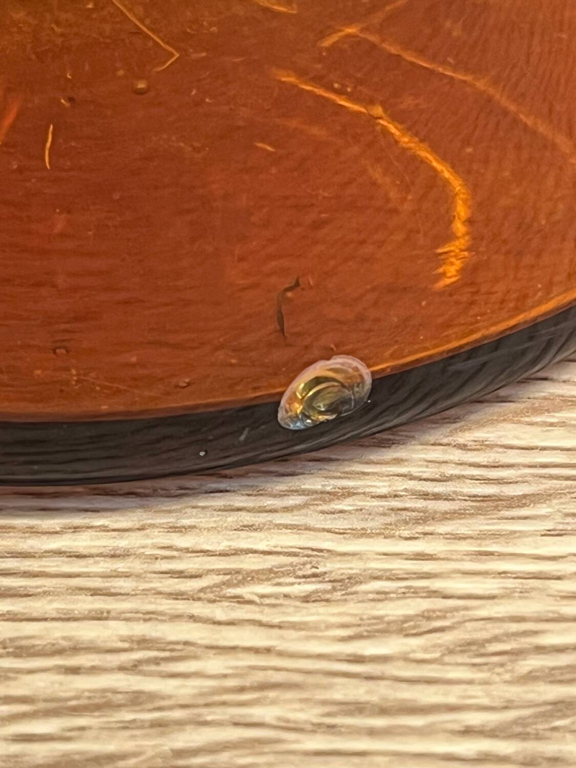 Amber glass bottle vase