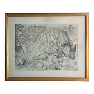 Lithograph "The Rhinoceros" DALI framed and signed in ABS