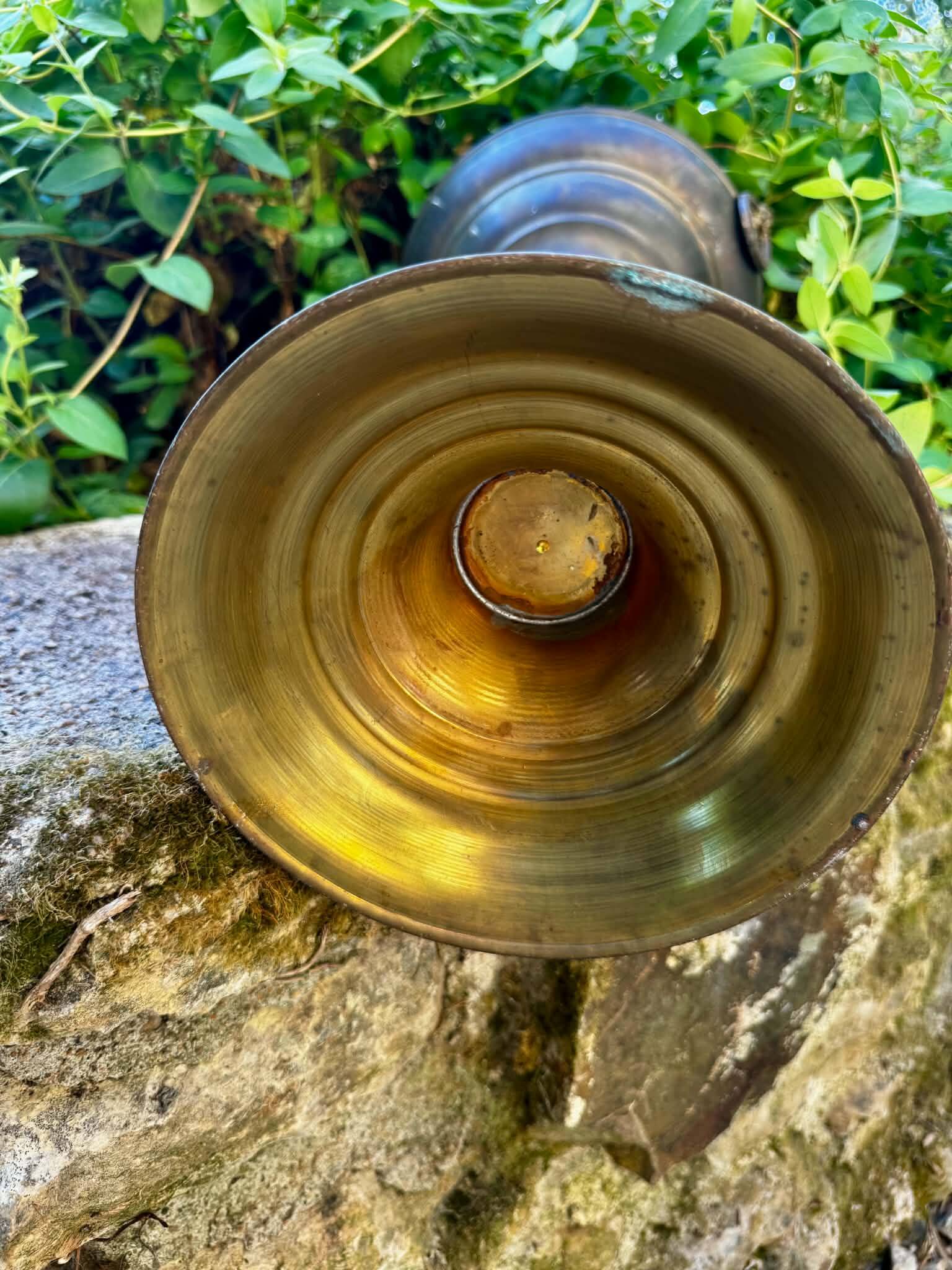 Large brass lion planter on a stand in Baroque Art Nouveau style.