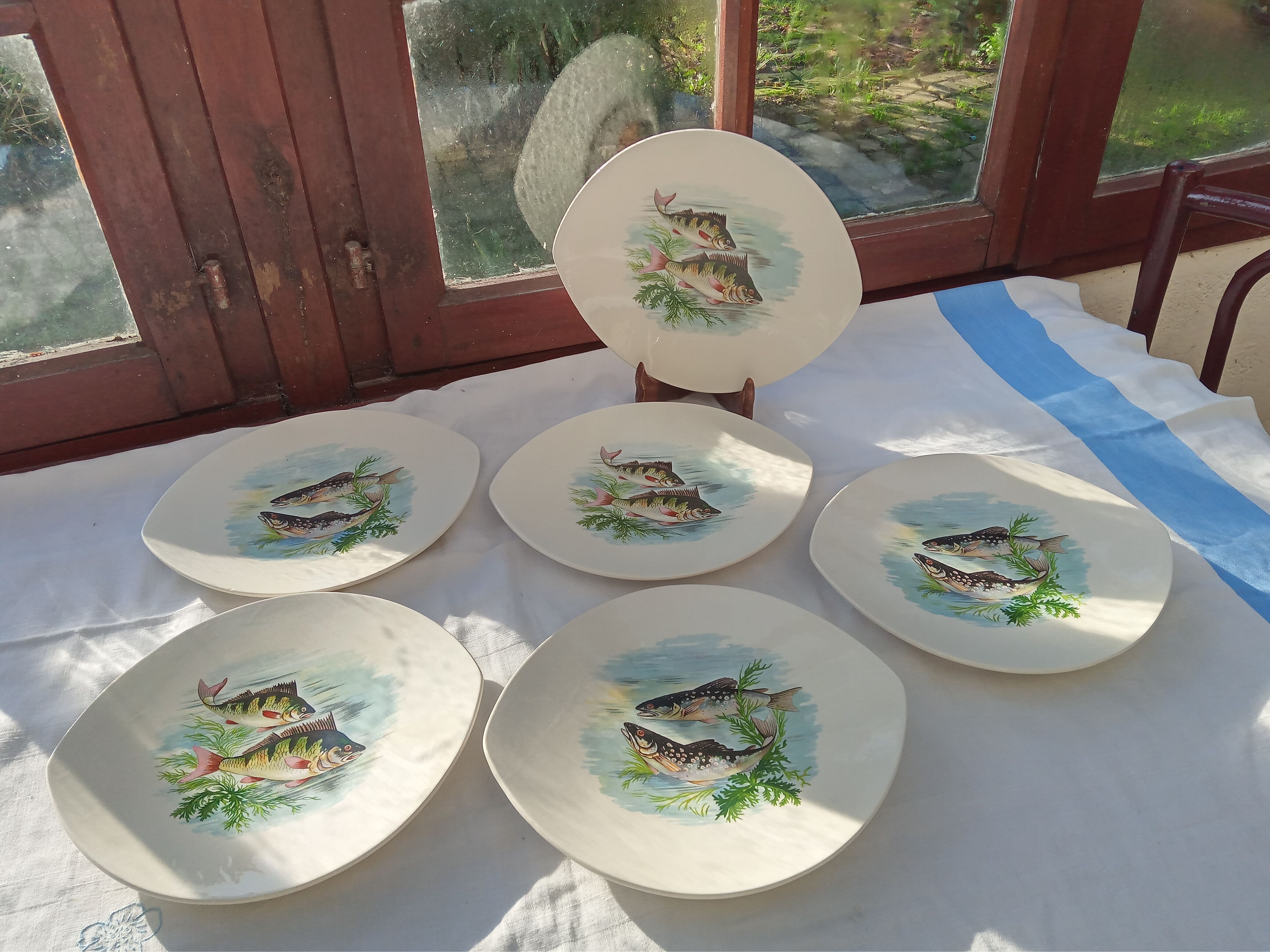 6 flat oval plates Salins