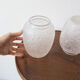 Paire vases modèle Biches Lalique