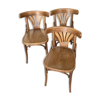 Set of 24 bistro chairs in curved wood with palm leaves 1970s France