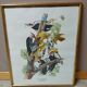 Lithograph by J. Audubon "Piteated Woodpecker" framed, 1950s/1960s