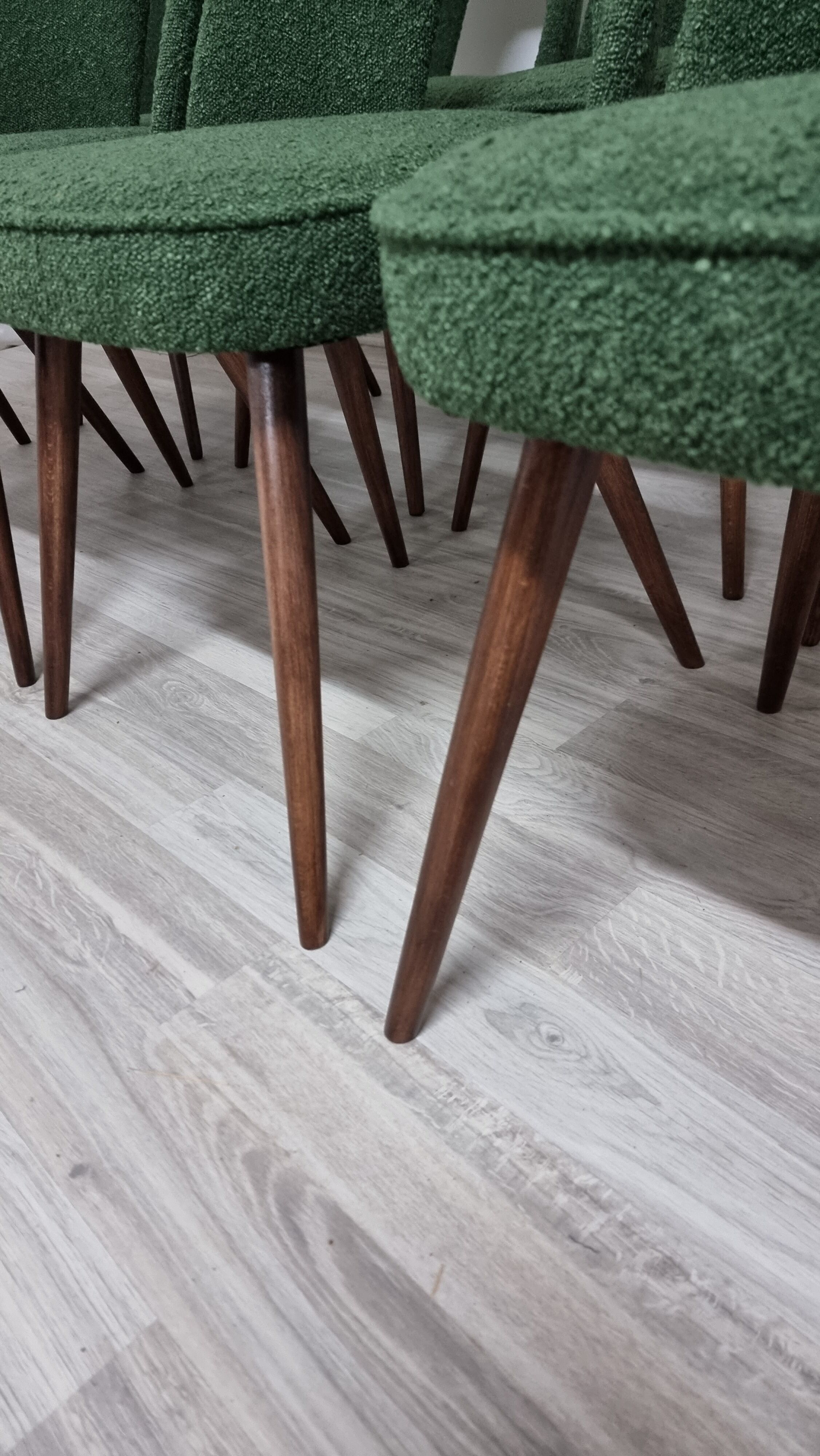 Dining chairs by Antonin Suman