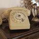 Dial telephone