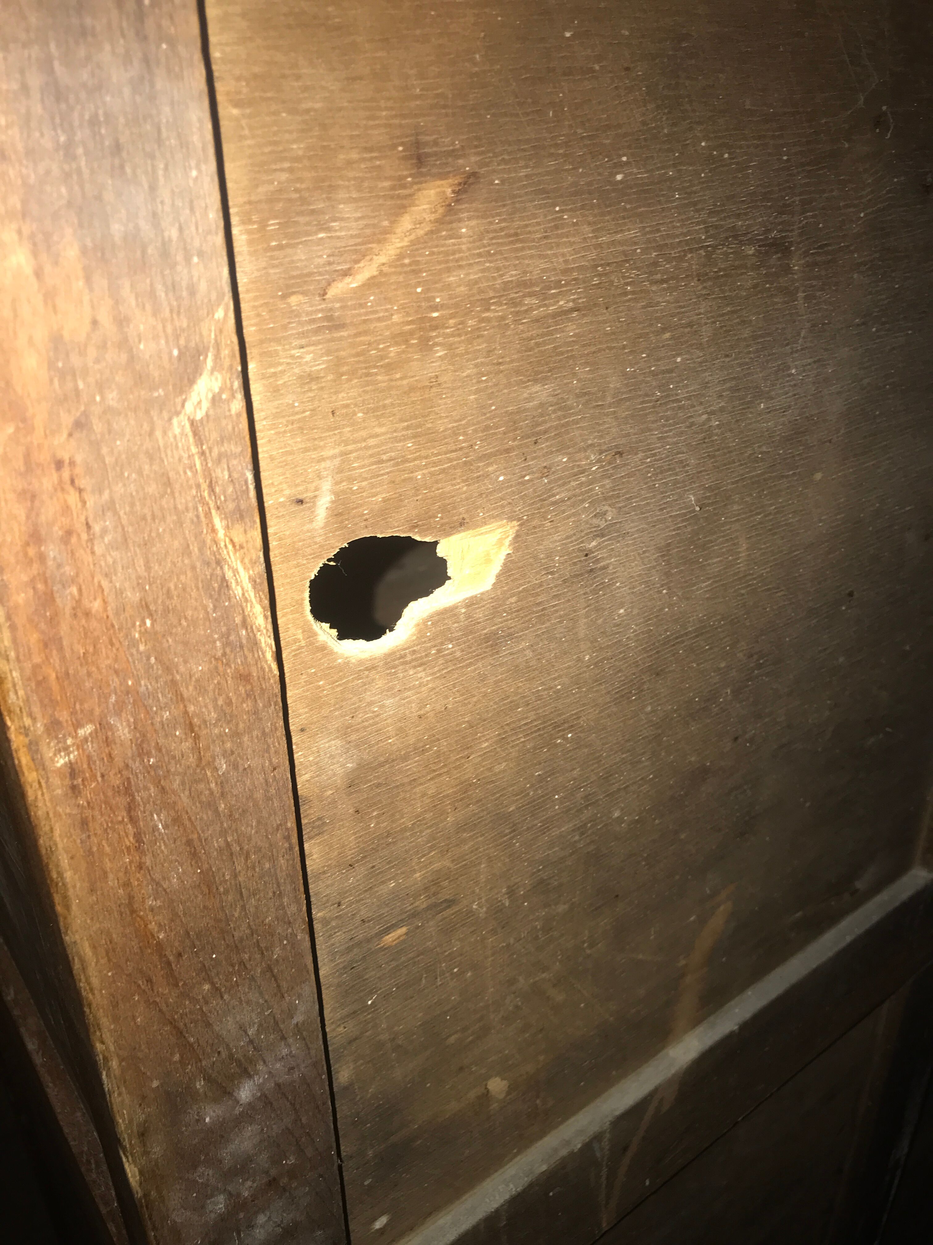 Small Parisian wardrobe showcase