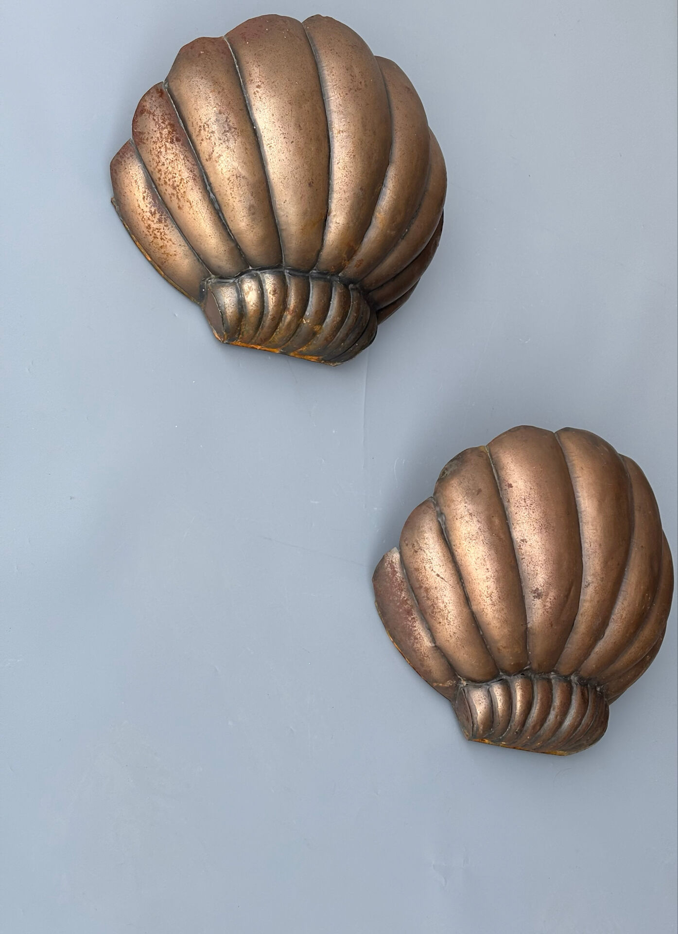 Paire d’appliques coquille Saint-Jacques 1960