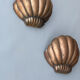 Paire d’appliques coquille Saint-Jacques 1960