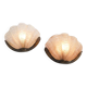 Pair of shell wall lights Art Deco 1930