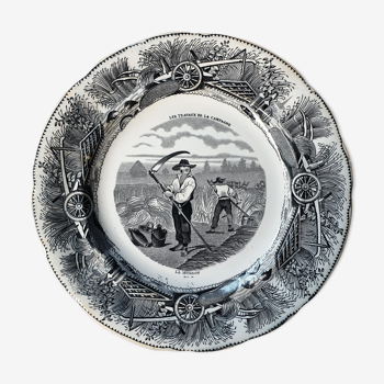 Old plate