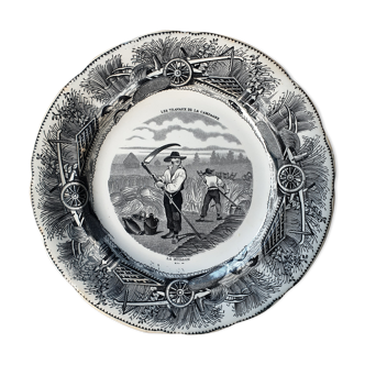 Assiette ancienne
