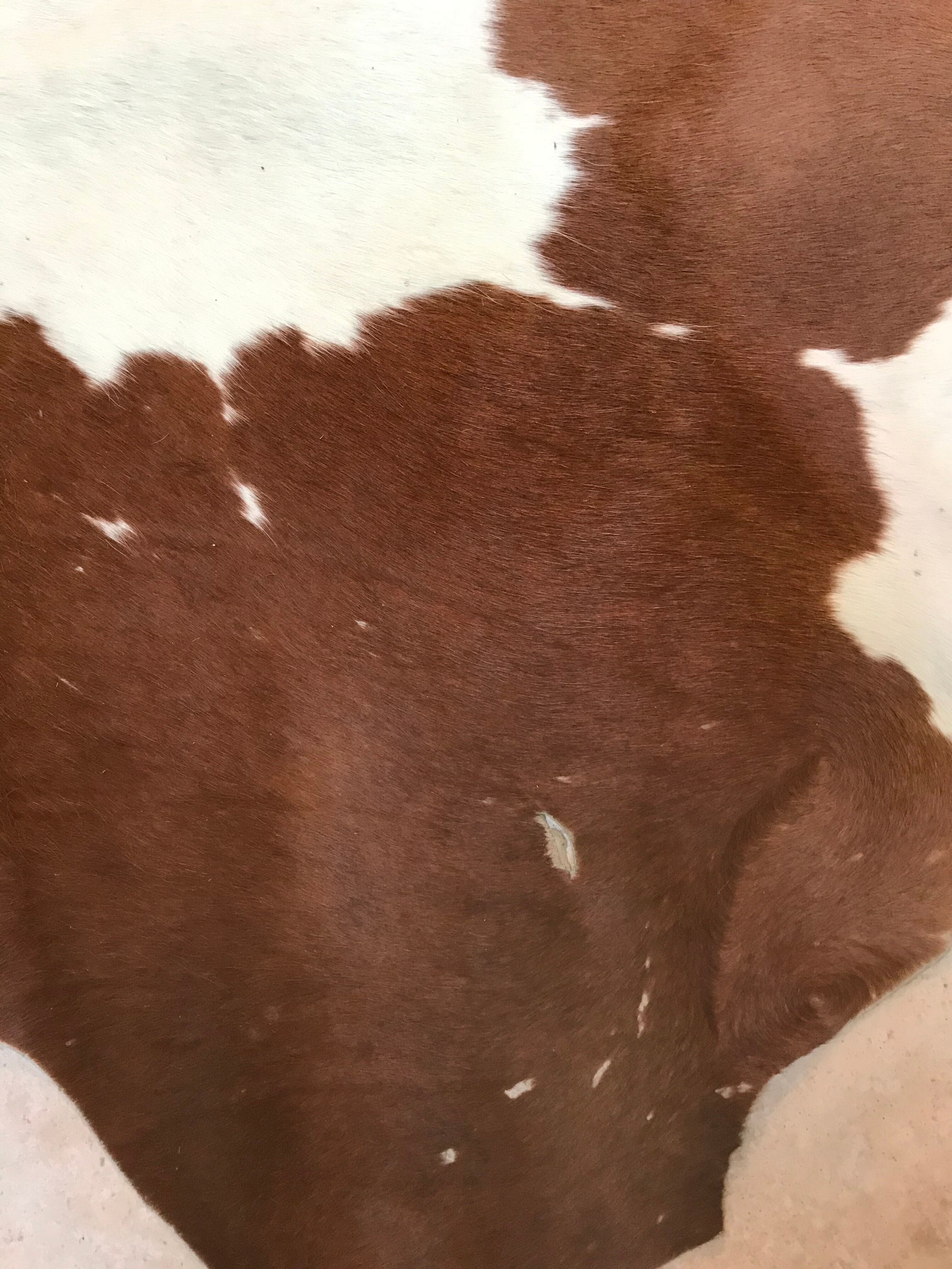 Cowhide 157x183cm