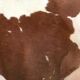 Cowhide 157x183cm