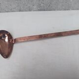 large spoonful with sauce