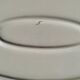 Saline oval dish