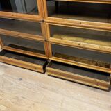 Globe Wernicke Bookcase