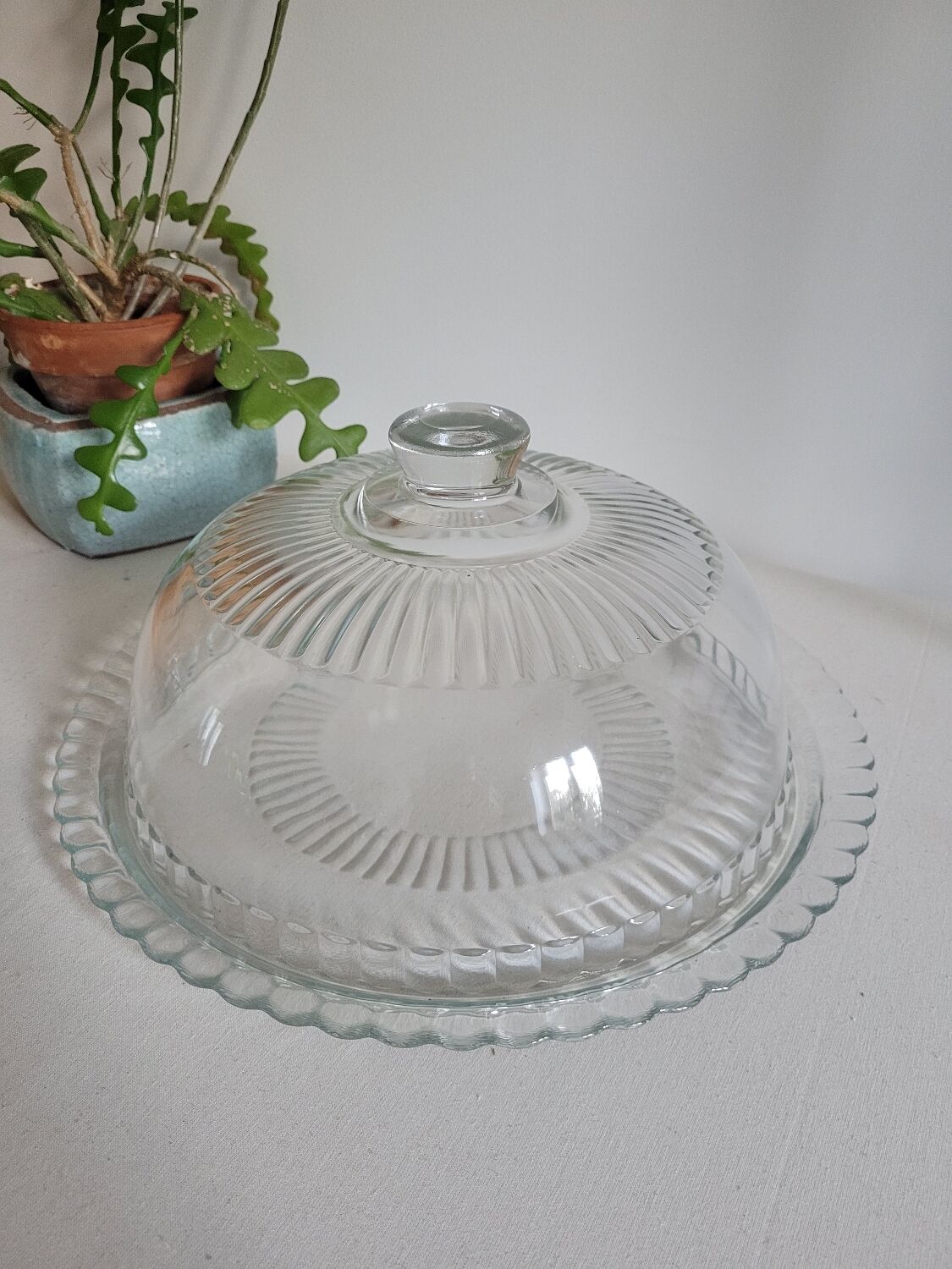 Luminarc glass cake dome