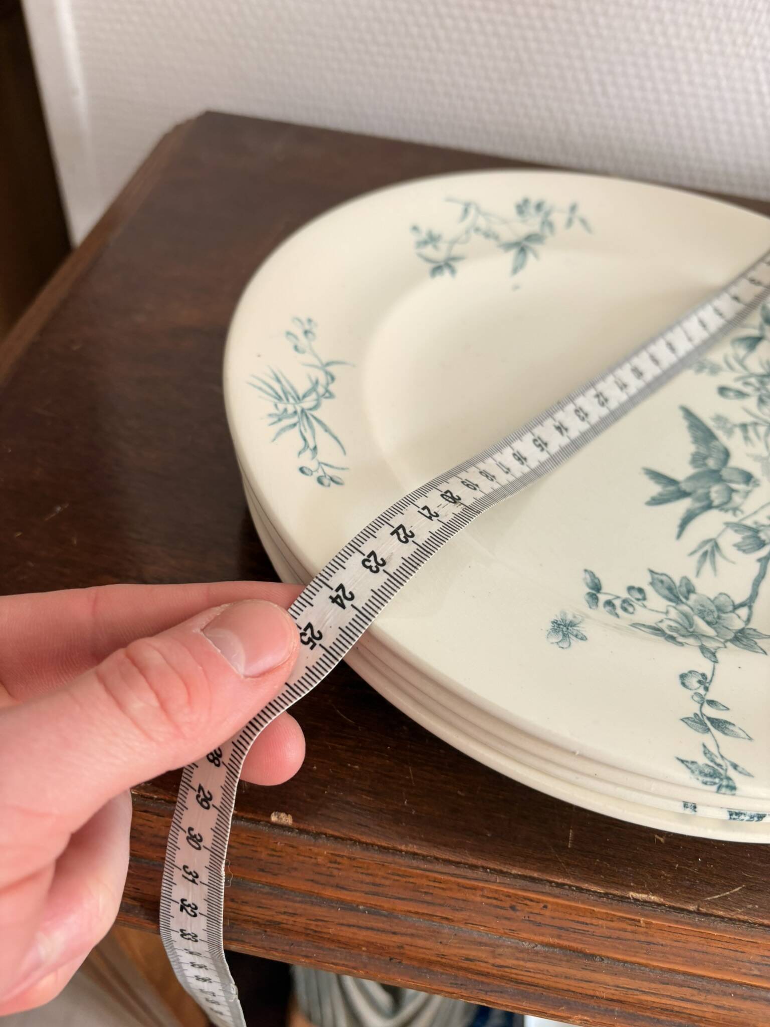 Lot 5 Plate Plates Faience Longwy Model Mignon