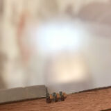 Trapezoidal mirror in solid oak