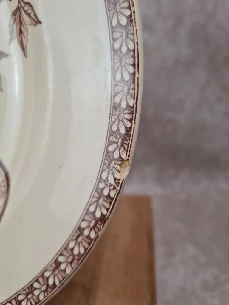 Set of 2 antique ironstone plates, "Daisy" pattern, Grand Dépôt Paris.