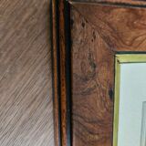 Plum tree botanical board under wooden frame