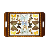 Butterfly tray