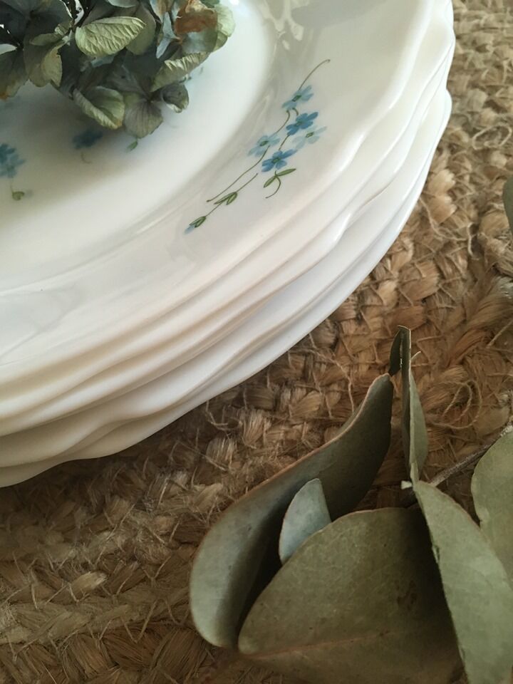 Flat plates myosotis veronica with small blue flowers