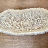 Coral “shark cushion”