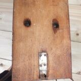 Hunting trophy, deer antler