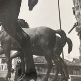 Photographie ancienne noir et blanc argentique début XXe