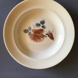 Lot of 6 hollow plates