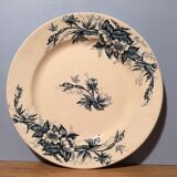 Suite of 12 land of iron plates