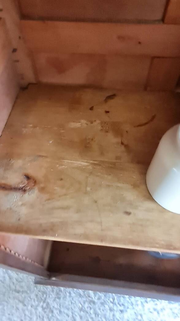 Parisian wardrobe - showcase spirit