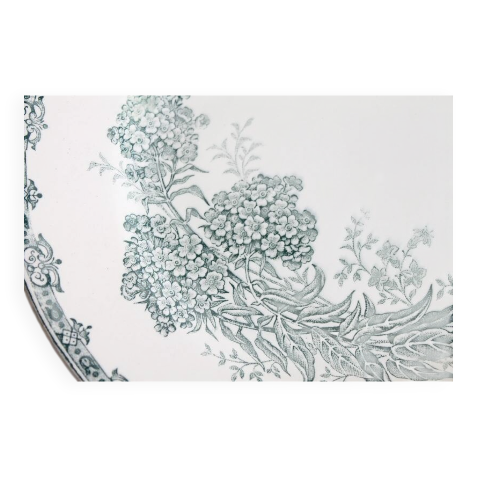 Antique flower plates DAISY St Amand x 2