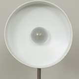 SIS desk lamp with swan collar